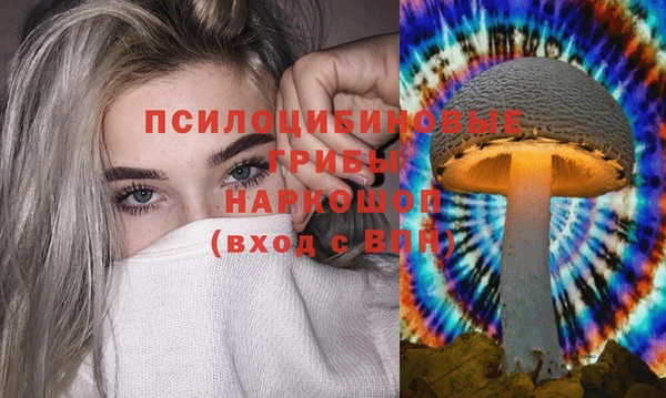 mdma Пролетарск